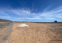 Resale - Land - Pinoso - Rural location