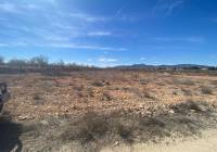 Resale - Land - Pinoso - Rural location