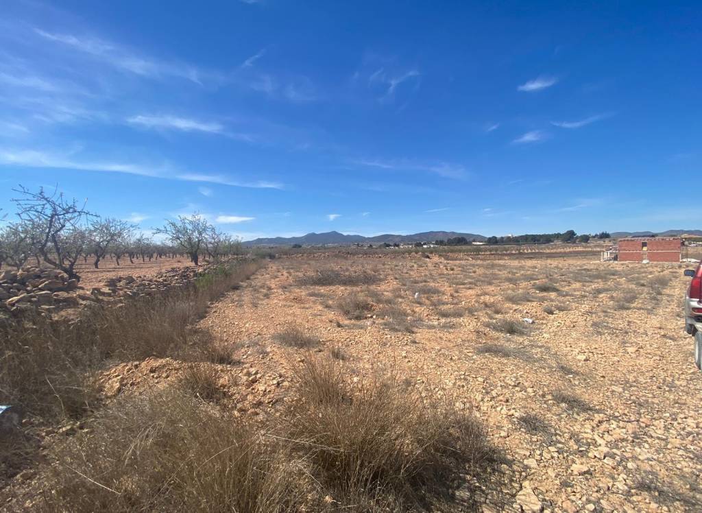 Resale - Land - Pinoso - Rural location