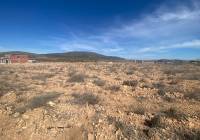 Resale - Land - Pinoso - Rural location