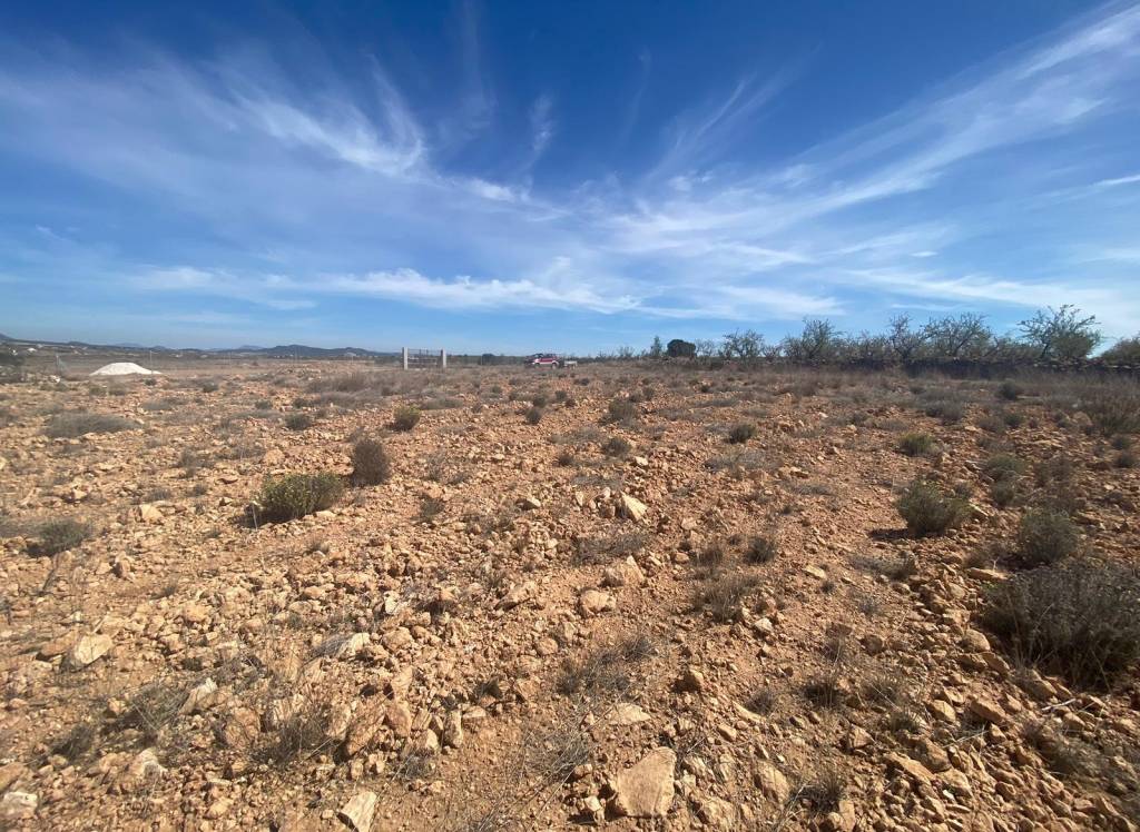 Resale - Land - Pinoso - Rural location