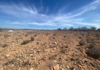Resale - Land - Pinoso - Rural location