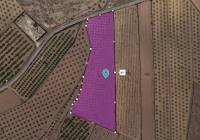 Resale - Land - Pinoso - Rural location