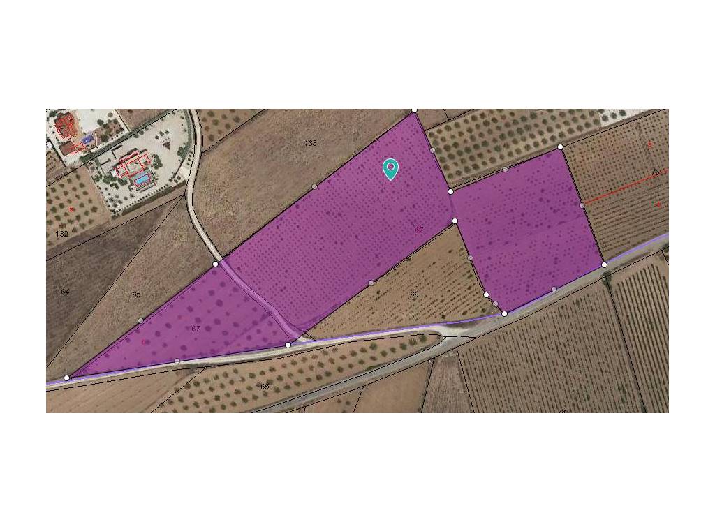 Resale - Land - Pinoso - Rural location