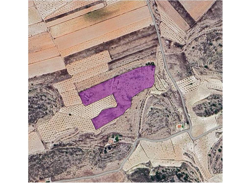 Resale - Land - Pinoso - Rural location