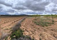 Resale - Land - Pinoso - Rural location