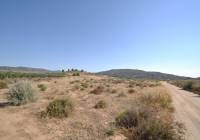 Resale - Land - Pinoso - Rural location