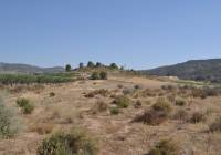 Resale - Land - Pinoso - Rural location