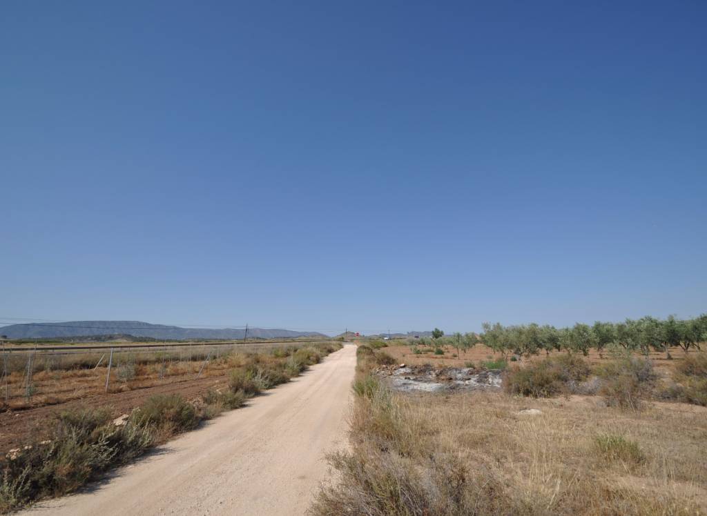 Resale - Land - Pinoso - Rural location
