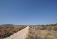 Resale - Land - Pinoso - Rural location