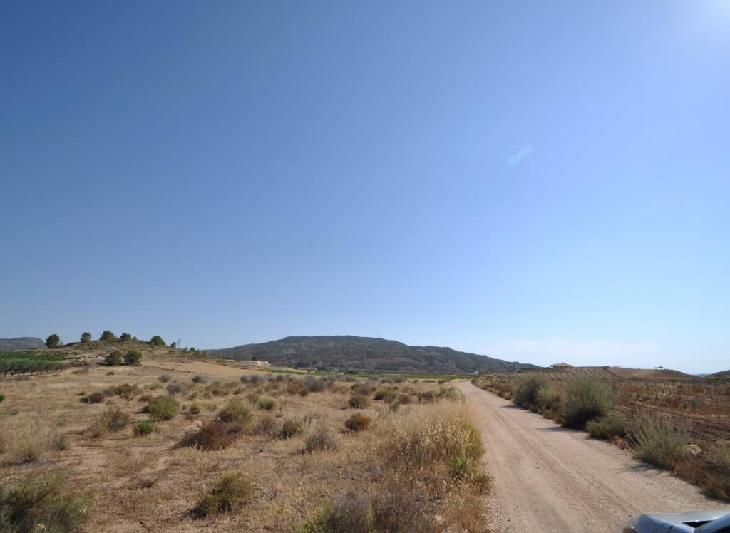 Resale - Land - Pinoso - Rural location