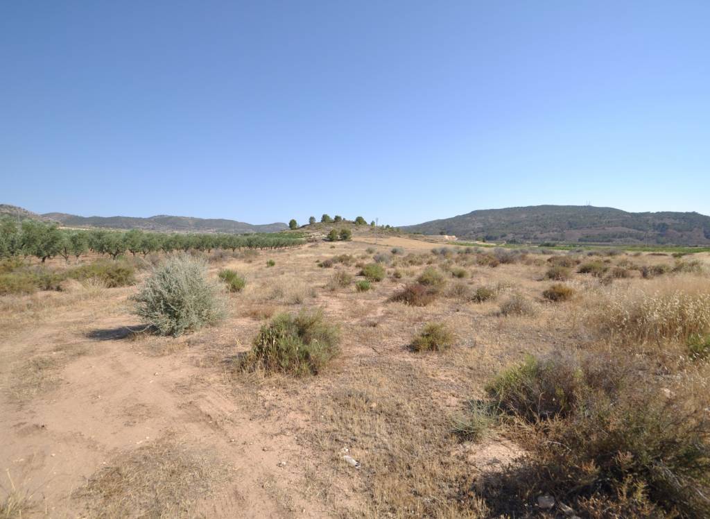 Resale - Land - Pinoso - Rural location