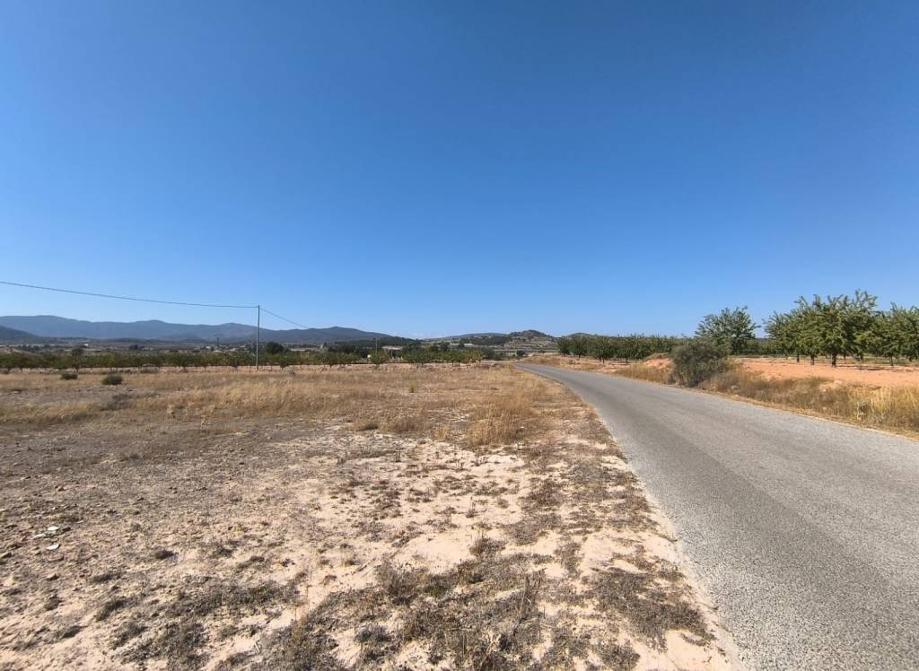 Resale - Land - Pinoso - Rural location