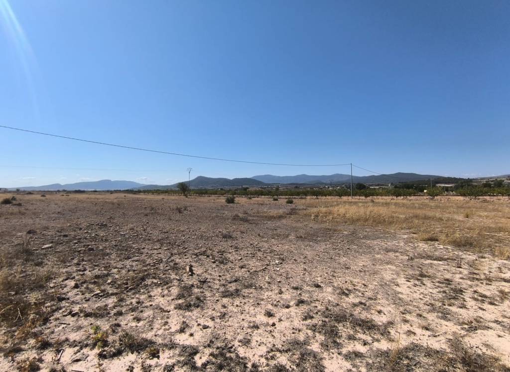 Resale - Land - Pinoso - Rural location