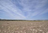 Resale - Land - Pinoso - Rural location
