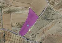 Resale - Land - Pinoso - Rural location