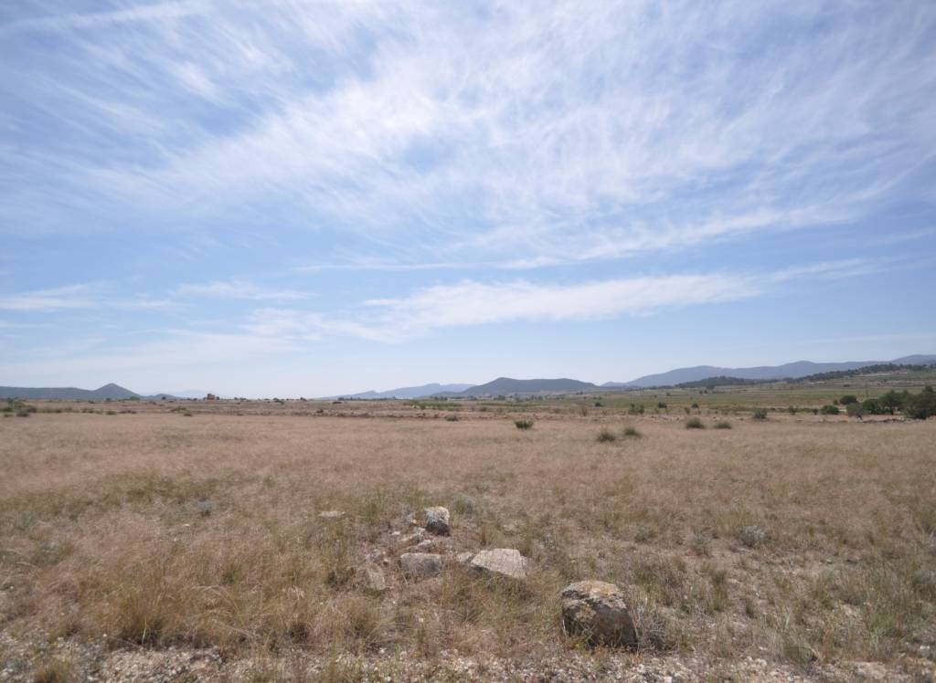 Resale - Land - Pinoso - Rural location
