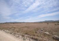 Resale - Land - Pinoso - Rural location