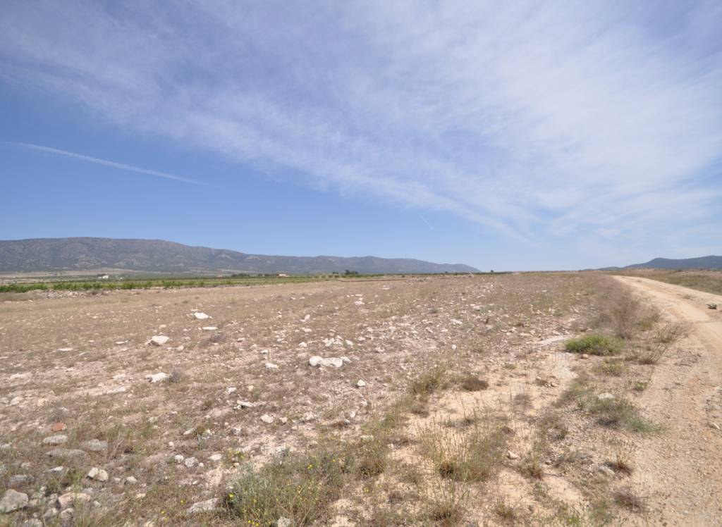 Resale - Land - Pinoso - Rural location