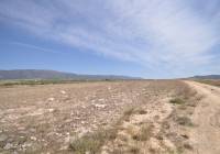 Resale - Land - Pinoso - Rural location