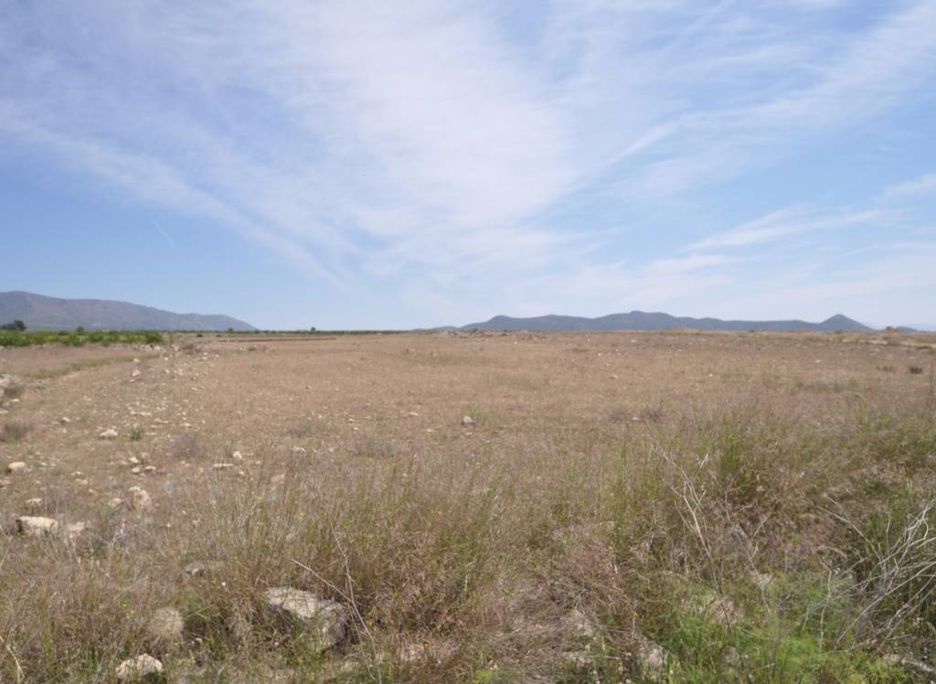 Resale - Land - Pinoso - Rural location