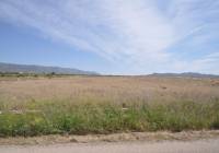 Resale - Land - Pinoso - Rural location