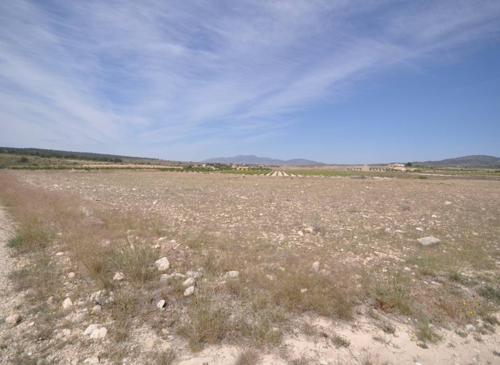 Resale - Land - Pinoso - Rural location