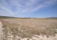 Resale - Land - Pinoso - Rural location
