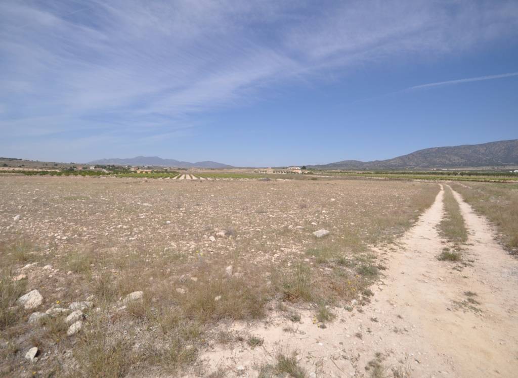 Resale - Land - Pinoso - Rural location