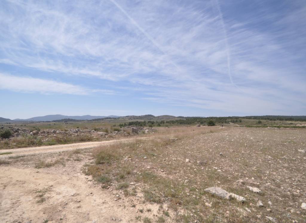 Resale - Land - Pinoso - Rural location