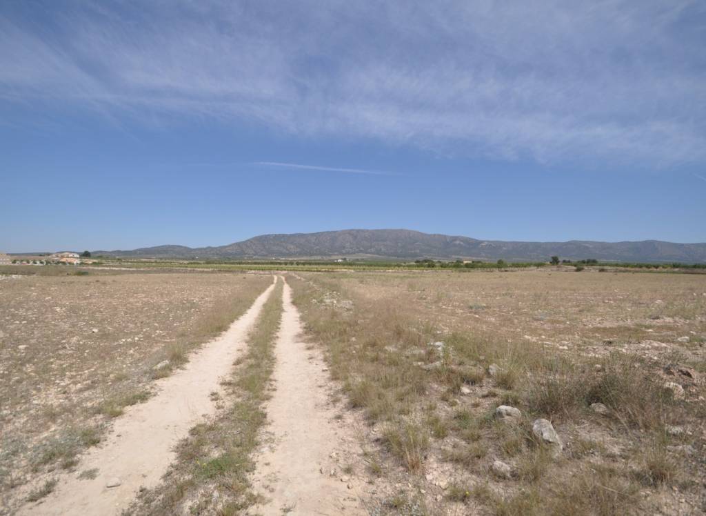 Resale - Land - Pinoso - Rural location