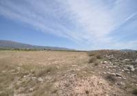 Resale - Land - Pinoso - Rural location