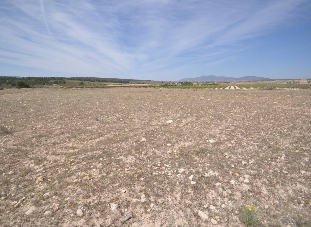 Resale - Land - Pinoso - Rural location