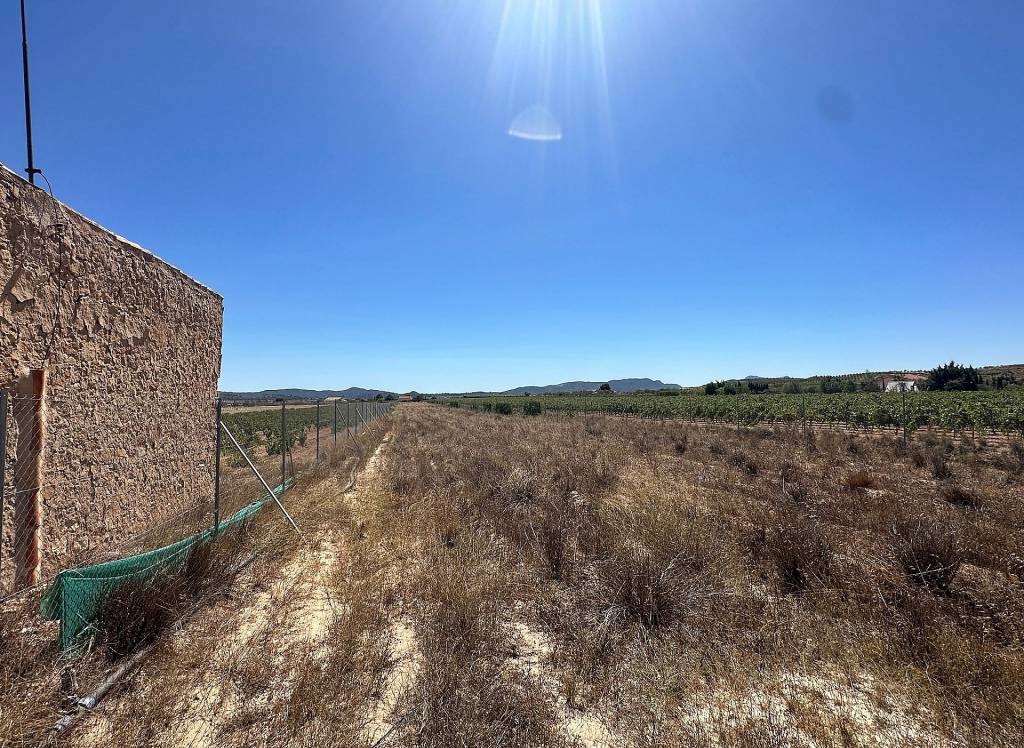 Resale - Land - Pinoso