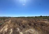 Resale - Land - Pinoso