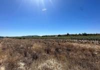 Resale - Land - Pinoso