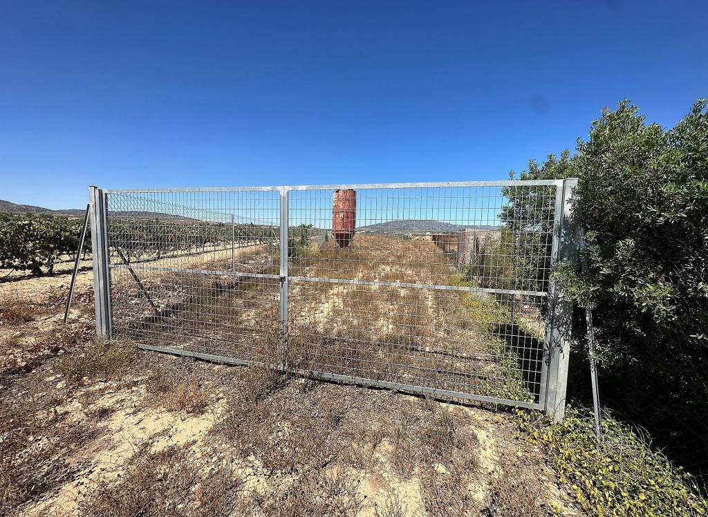 Resale - Land - Pinoso