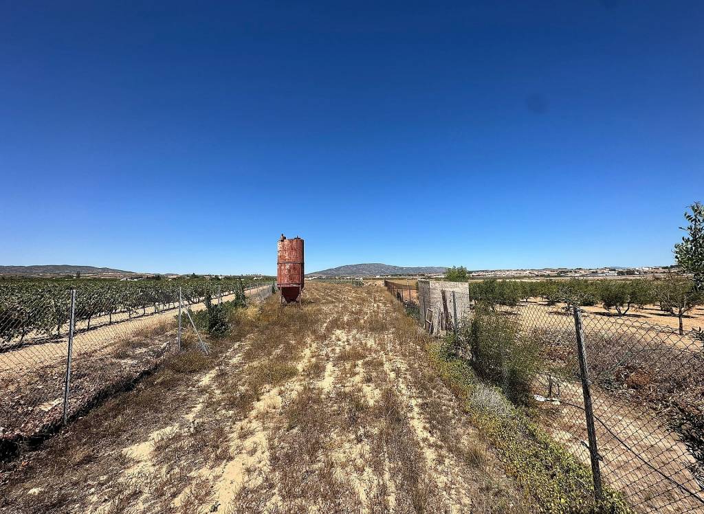 Resale - Land - Pinoso