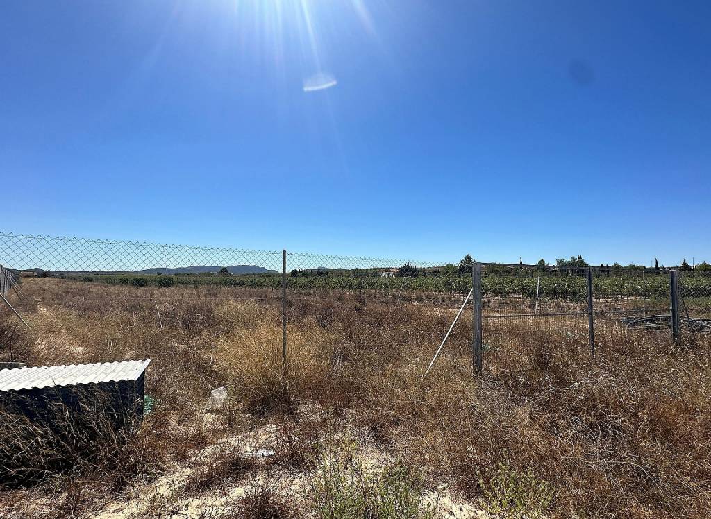 Resale - Land - Pinoso