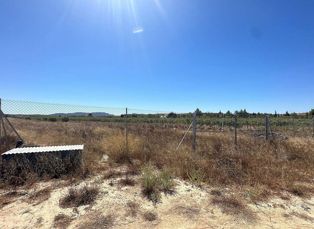 Resale - Land - Pinoso