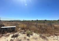 Resale - Land - Pinoso