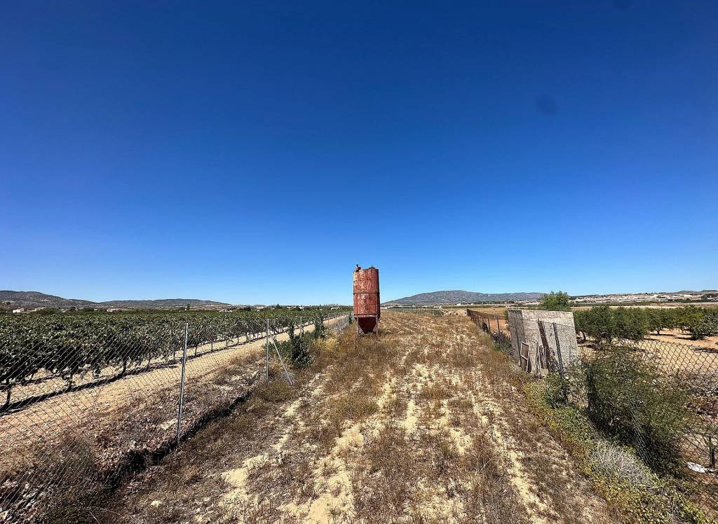 Resale - Land - Pinoso