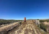 Resale - Land - Pinoso