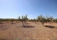 Resale - Land - Pinoso