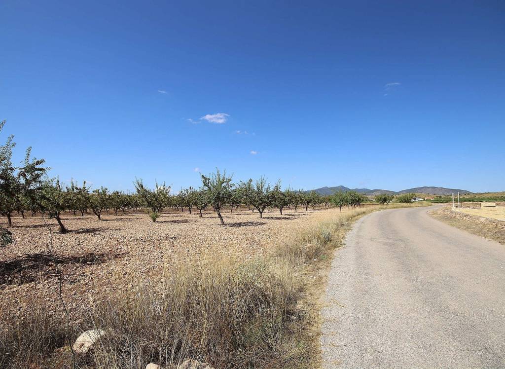 Resale - Land - Pinoso