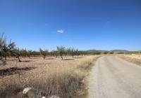 Resale - Land - Pinoso