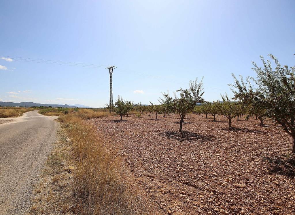 Resale - Land - Pinoso