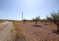 Resale - Land - Pinoso