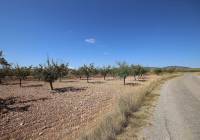 Resale - Land - Pinoso