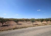 Resale - Land - Pinoso